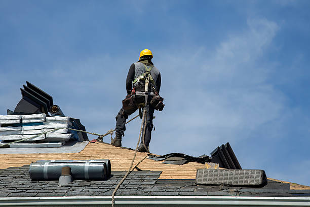 Professional Gutter Installation technician working in Davis, IL